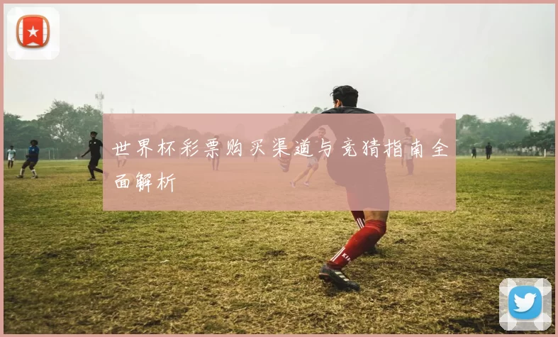 世界杯彩票购买渠道与竞猜指南全面解析