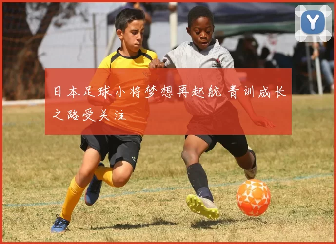 日本足球小将梦想再起航 青训成长之路受关注
