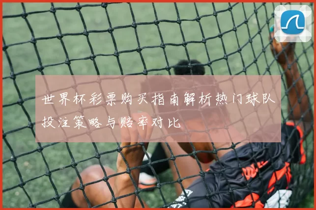 世界杯彩票购买指南解析热门球队投注策略与赔率对比