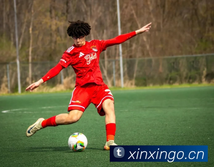 博鱼·官方版网站登录入口 - 博鱼(中国)APP 封面图